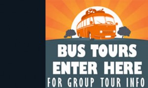 Bus Tours