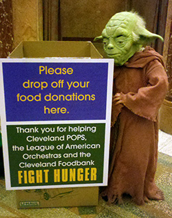 Hunger Drive Yoda